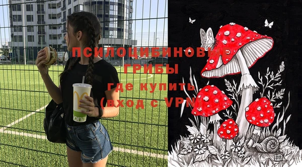 винт Аркадак