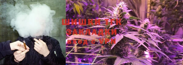 винт Аркадак