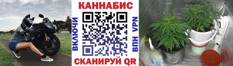МЕГА Грязовец Марихуана сатива сколько стоит